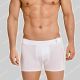 Schiesser Nederland Long-Life Soft Micro Shorts