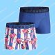 Bjorn Borg Kids 2-Pack Short Palmstripe