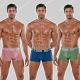 Code 22 Fun 3-Pack Trunk