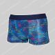 Hom trunk Dreamland