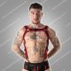 Locker Gear Full Military Access Harness