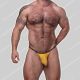 Sukrew Trophy Bronze G-String