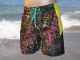 Bjorn Borg Swim NYC Scrib Short