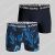 Bjorn Borg Bamboo Cotton Blend 2-pack Short