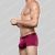 Andrew Christian Big Fat Dick Bamboo Boxer