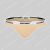 AussieBum Essential Thong