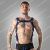 Locker Gear Full Military Access Harness