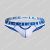 AussieBum Riot Jock 2.0