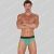 Code 22 Sheer Mesh Brief