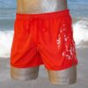 Diesel Swim Nagano Boxer-0