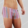 Hom Nederland Swim Rio Stripes S-Short