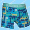 Bjorn Borg Nederland Kids 2-pack Short Melted Mind