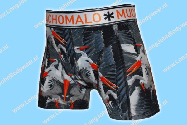 MuchachoMalo Kids Nederland Short 2-Pack Stork MuchachoMalo Kids Nederland Short 2-Pack Stork
