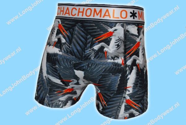 MuchachoMalo Kids Nederland Short 2-Pack Stork MuchachoMalo Kids Nederland Short 2-Pack Stork