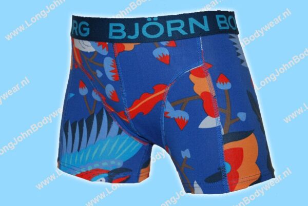 Bjorn Borg Nederland Kids 2-Pack Short Dragon
