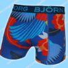 Bjorn Borg Nederland Kids 2-Pack Short Dragon