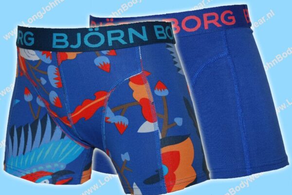 Bjorn Borg Nederland Kids 2-Pack Short Dragon