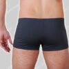 Hom Nederland Swim Dive Short