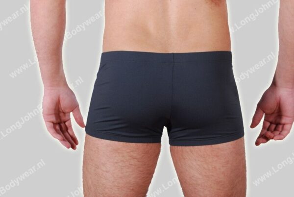 Hom Nederland Swim Dive Short
