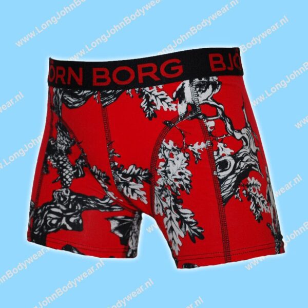 Bjorn Borg Nederland Kids GiftBox Shorts 2-Pack