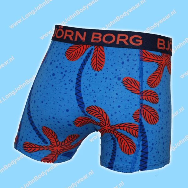 Bjorn Borg Nederland Kids Short Twisted Palm