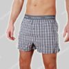 Calvin Klein Nederland Woven Boxer 2-Pack Slim-Fit