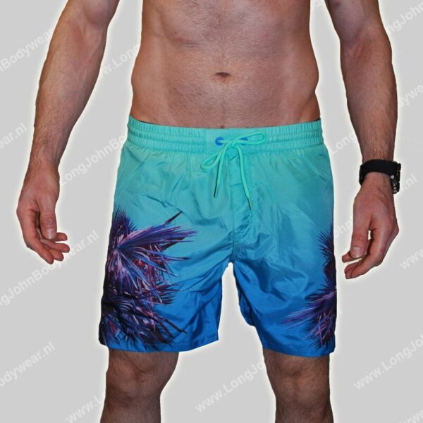 Diesel Nederland Swim Wave2.017 Short Palm