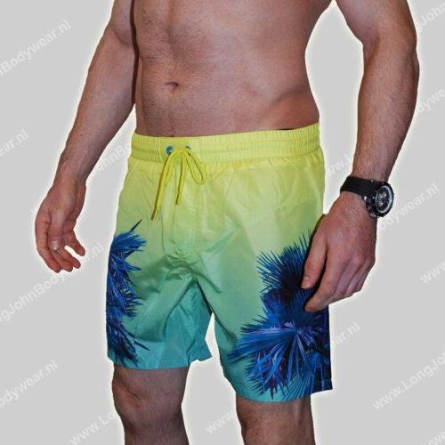 Diesel Nederland Swim Wave2.017 Short Palm Diesel Nederland Swim Wave2.017 Short Palm