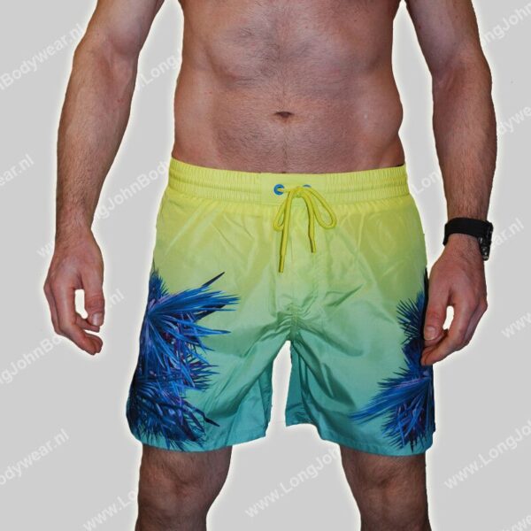 Diesel Nederland Swim Wave2.017 Short Palm