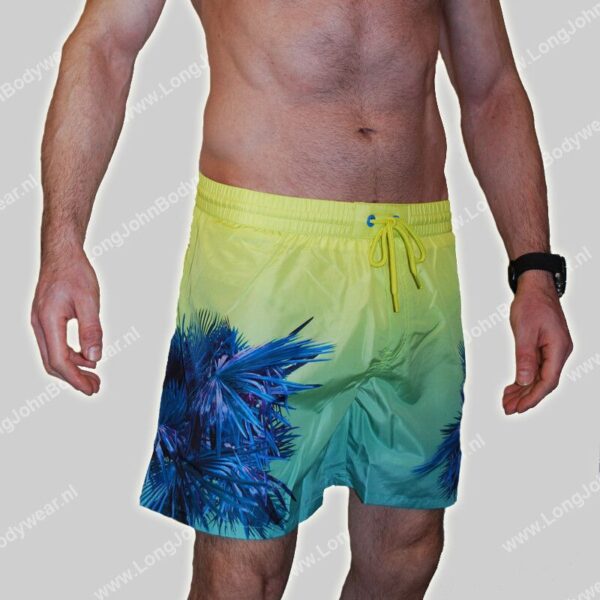 Diesel Nederland Swim Wave2.017 Short Palm
