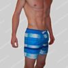 Bikkembergs Nederland Swim Short Stripe
