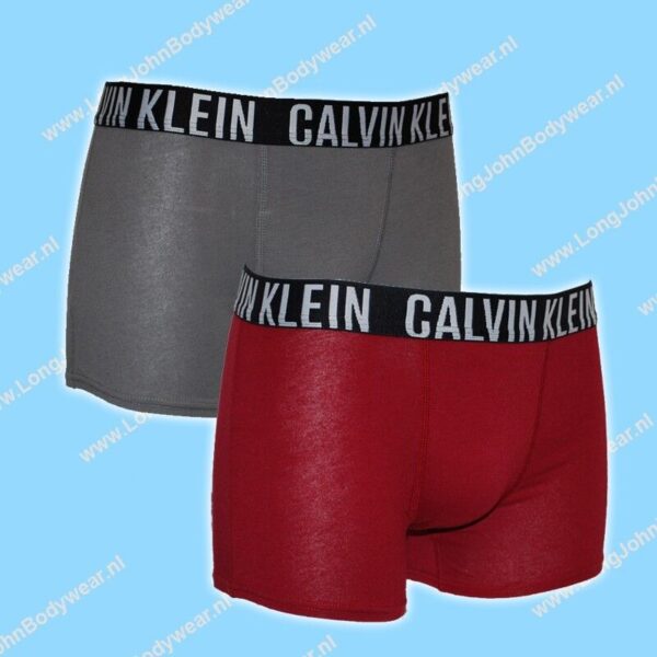 Calvin Klein Nederland Kids Short 2-Pack Intens Power