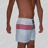 Tommy Hilfiger Nederland Zwem Medium-Short Striped-Flag