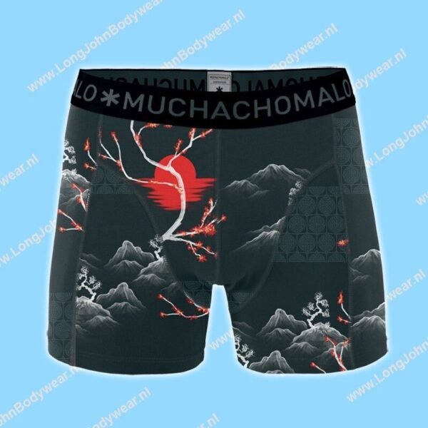 MuchachoMalo Kids Nederland Short 2-Pack Rise and Shine