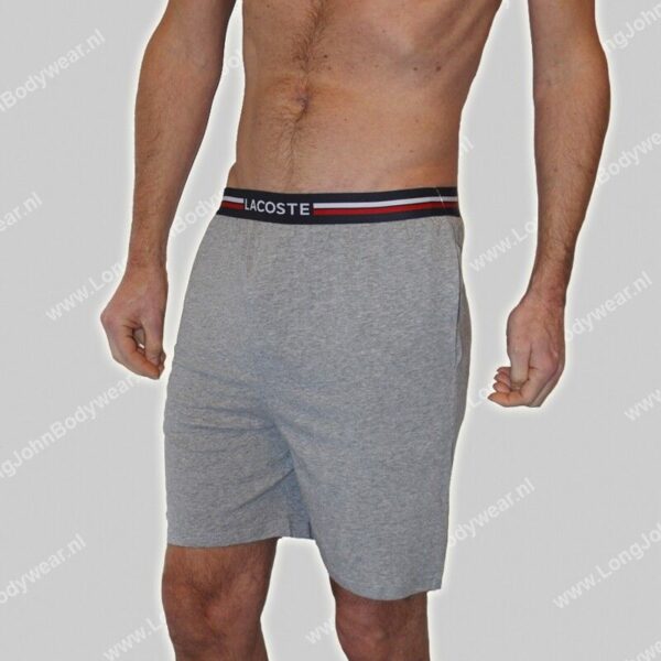 LaCoste Nederland 2-Pack Brief