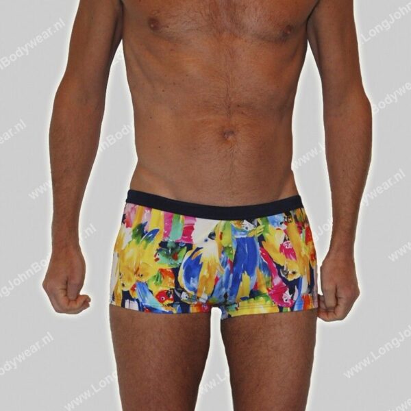 Hom Nederland Swim Shorts Papagayo