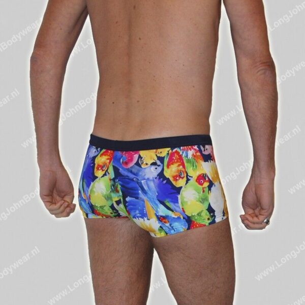 Hom Nederland Swim Shorts Papagayo
