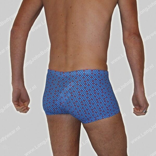 Hom Nederland Swim Shorts Bora