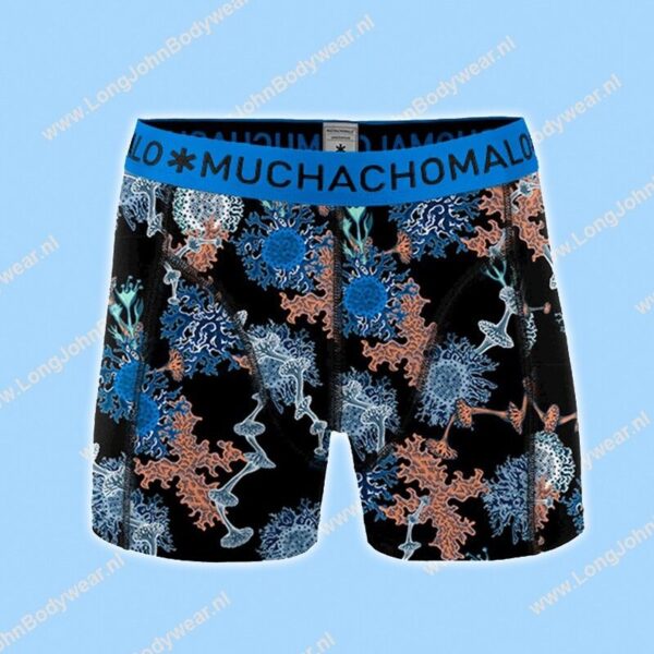 MuchachoMalo Kids Nederland Short 2-Pack Mold