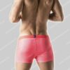 Code 22 Nederland Swim Graphic Short