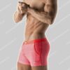 Code 22 Nederland Swim Graphic Short