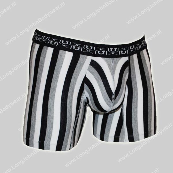 Mundo Unico Boxer Medio Rayas