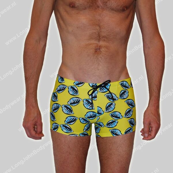 Hom Swim Short Mahdi