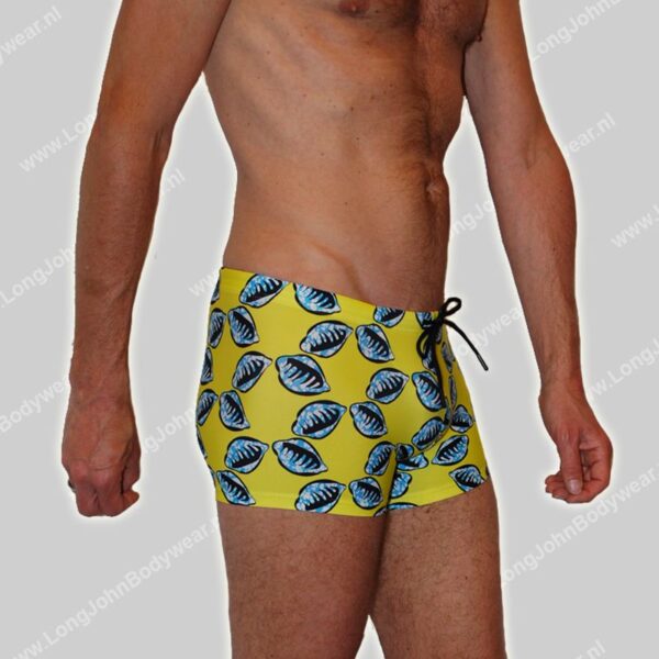Hom Swim Short Mahdi