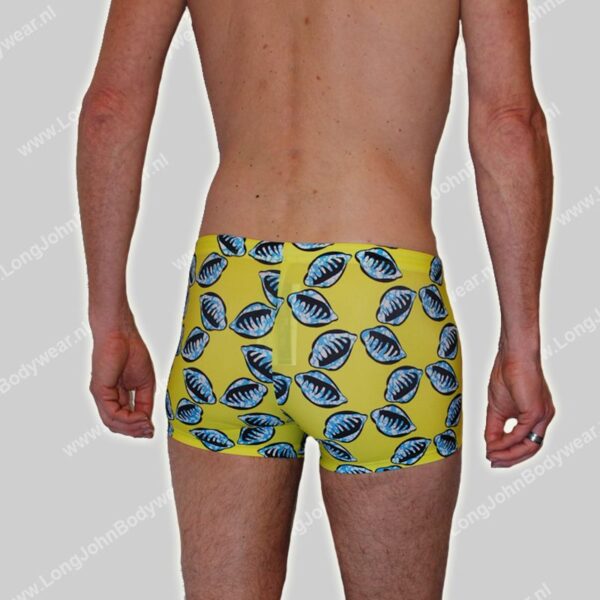 Hom Swim Short Mahdi