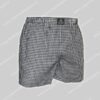 Polo Ralph Lauren Woven Boxer