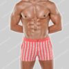 Code22 Swimshort Retro Stripe Trunk