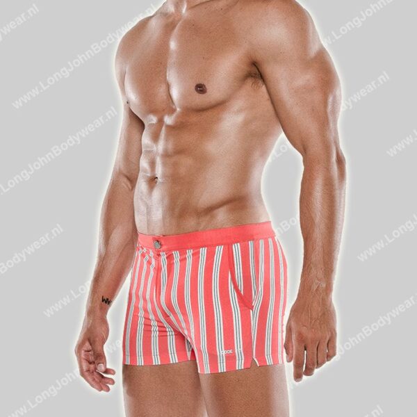 Code22 Swimshort Retro Stripe Trunk
