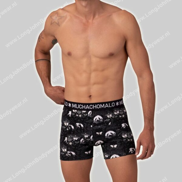 MuchachoMalo Golden Special 12-Pack Shorts