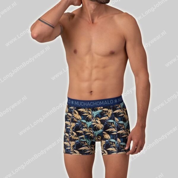 MuchachoMalo Golden Special 12-Pack Shorts